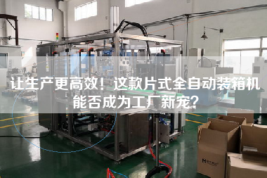 讓生產(chǎn)z高效！這款片式全自動裝箱機(jī)能否成為工廠新寵？