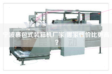 寧波裹包式裝箱機(jī)廠家(哪家性價(jià)比z高)？
