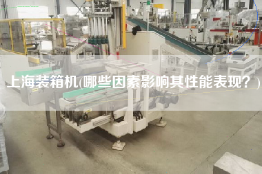 上海裝箱機(哪些因素影響其性能表現(xiàn)？)