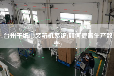 臺(tái)州干紙巾裝箱機(jī)系統(tǒng)(如何提高生產(chǎn)效率)