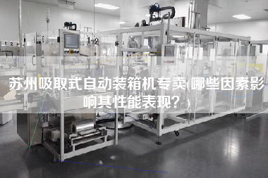 蘇州吸取式自動裝箱機專賣(哪些因素影響其性能表現(xiàn)？)