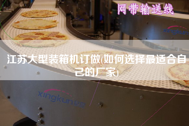 江蘇大型裝箱機(jī)訂做(如何選擇z適合自己的廠家)