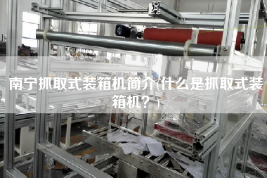 南寧抓取式裝箱機簡介(什么是抓取式裝箱機？)