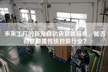 未來工廠的新寵自動(dòng)袋裝裝箱機(jī)，能否徹底顛覆傳統(tǒng)包裝行業(yè)？