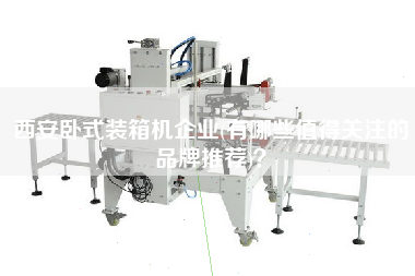 西安臥式裝箱機(jī)企業(yè)(有哪些值得關(guān)注的品牌推薦)？