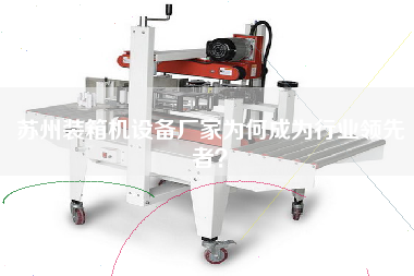 蘇州裝箱機(jī)設(shè)備廠家為何成為行業(yè)**者？