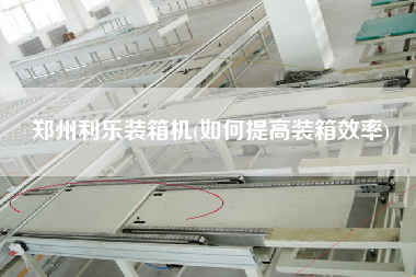 鄭州利樂裝箱機(如何提高裝箱效率)