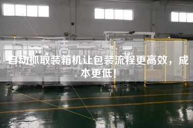 自動(dòng)抓取裝箱機(jī)讓包裝流程z高效，成本z低！
