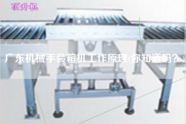 廣東機(jī)械手裝箱機(jī)工作原理(你知道嗎？)