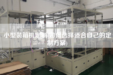 小型裝箱機(jī)定制(如何選擇適合自己的定制方案)