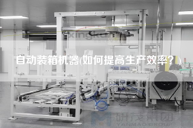 自動(dòng)裝箱機(jī)器(如何提高生產(chǎn)效率？)