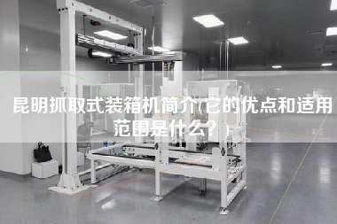 昆明抓取式裝箱機(jī)簡(jiǎn)介(它的優(yōu)點(diǎn)和適用范圍是什么？)