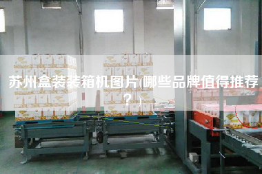 蘇州盒裝裝箱機圖片(哪些品牌值得推薦？)