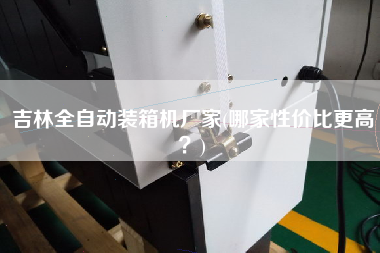 吉林全自動裝箱機廠家(哪家性價比z高？)