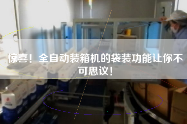 驚喜！全自動(dòng)裝箱機(jī)的袋裝功能讓你不可思議！