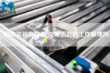 自動裝箱機(jī)簡圖(你知道它的工作原理嗎？)