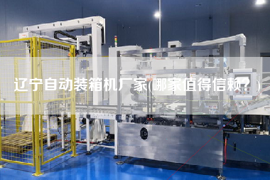 遼寧自動裝箱機(jī)廠家(哪家值得信賴？)