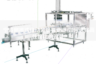 寧波側(cè)推式自動(dòng)裝箱機(jī)企業(yè)(如何選擇高性價(jià)比的設(shè)備)