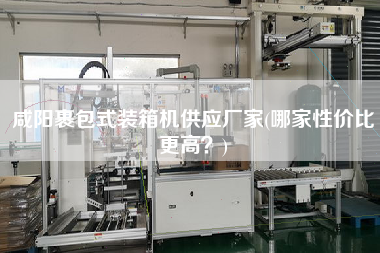 咸陽裹包式裝箱機(jī)供應(yīng)廠家(哪家性價比z高？)