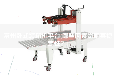 常州臥式裝箱機平臺(哪些因素影響其穩(wěn)定性？)